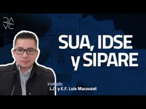 SIPARE: Qué es y para qué sirve este sistema en la economía