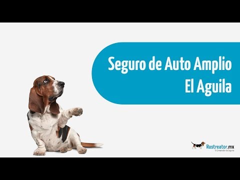 La compañía de seguros El Águila en Guadalajara: Protección confiable y ...
