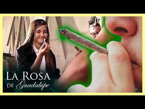 Descubre por qué eres harina de otro costal en nuestra guía